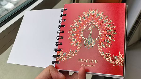 产品宣传册效果